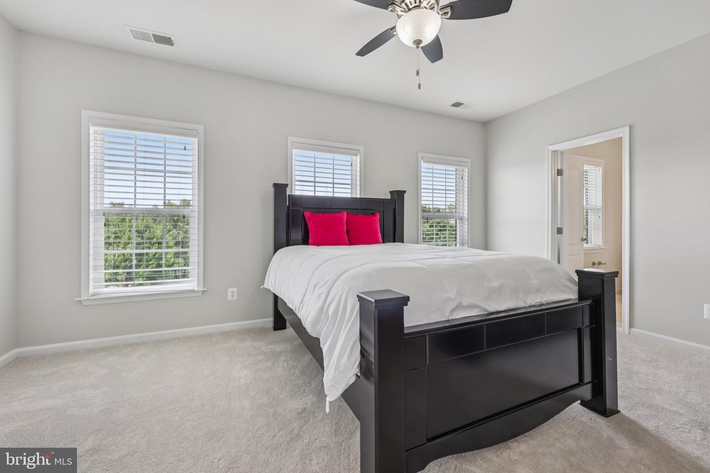 21518 WILD TIMBER CT, BROADLANDS, Virginia 20148, 5 Bedrooms Bedrooms, ,6 BathroomsBathrooms,Residential,For sale,21518 WILD TIMBER CT,VALO2103372 MLS # VALO2103372
