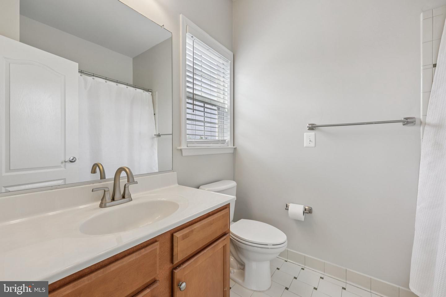 21518 WILD TIMBER CT, BROADLANDS, Virginia 20148, 5 Bedrooms Bedrooms, ,6 BathroomsBathrooms,Residential,For sale,21518 WILD TIMBER CT,VALO2103372 MLS # VALO2103372
