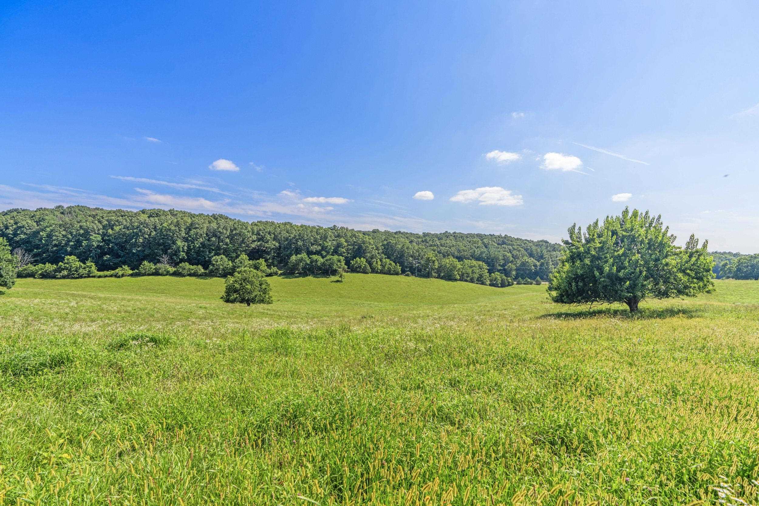 35-14F GALENA RD, STAUNTON, Virginia 24401, ,Land,35-14F GALENA RD,667702 MLS # 667702