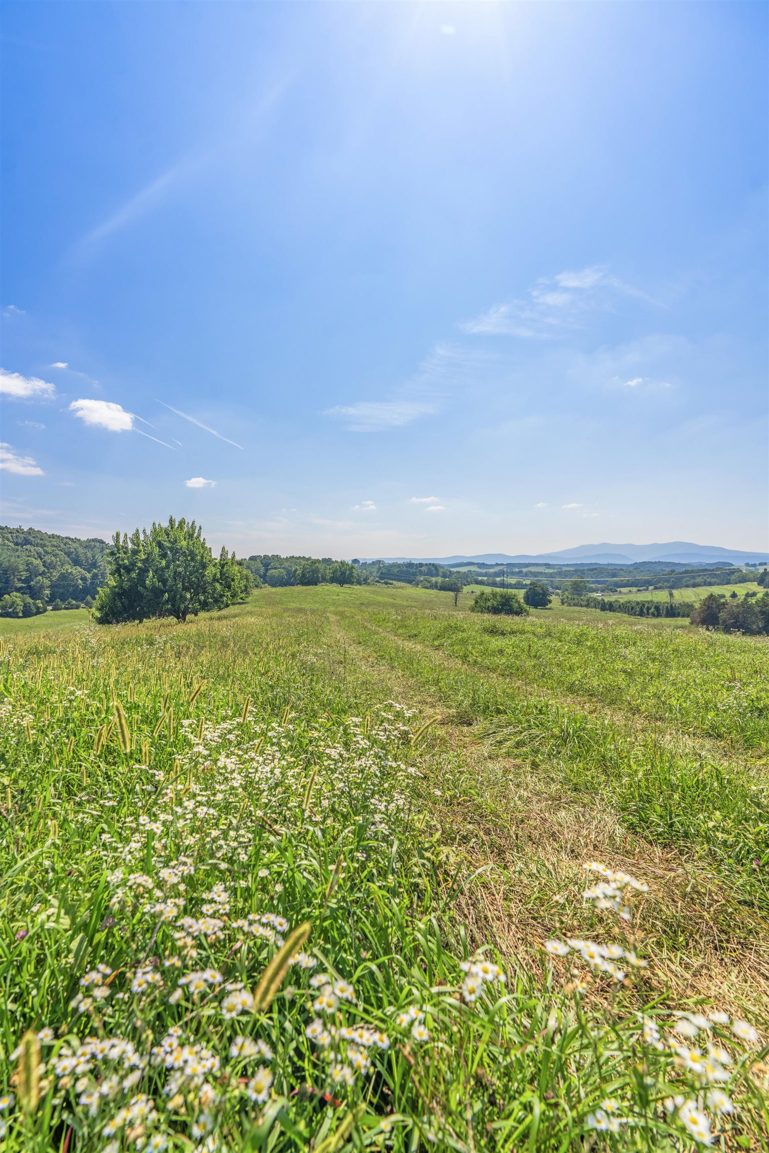 35-14F GALENA RD, STAUNTON, Virginia 24401, ,Land,35-14F GALENA RD,667702 MLS # 667702