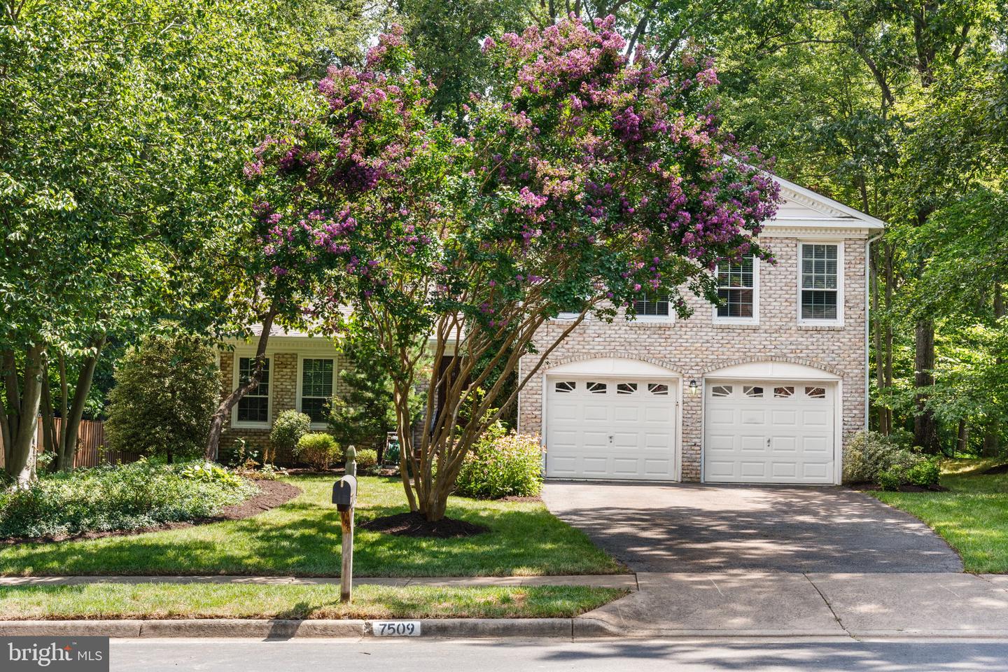 7509 CERVANTES CT, SPRINGFIELD, Virginia 22153, 4 Bedrooms Bedrooms, ,2 BathroomsBathrooms,Residential,For sale,7509 CERVANTES CT,VAFX2258906 MLS # VAFX2258906