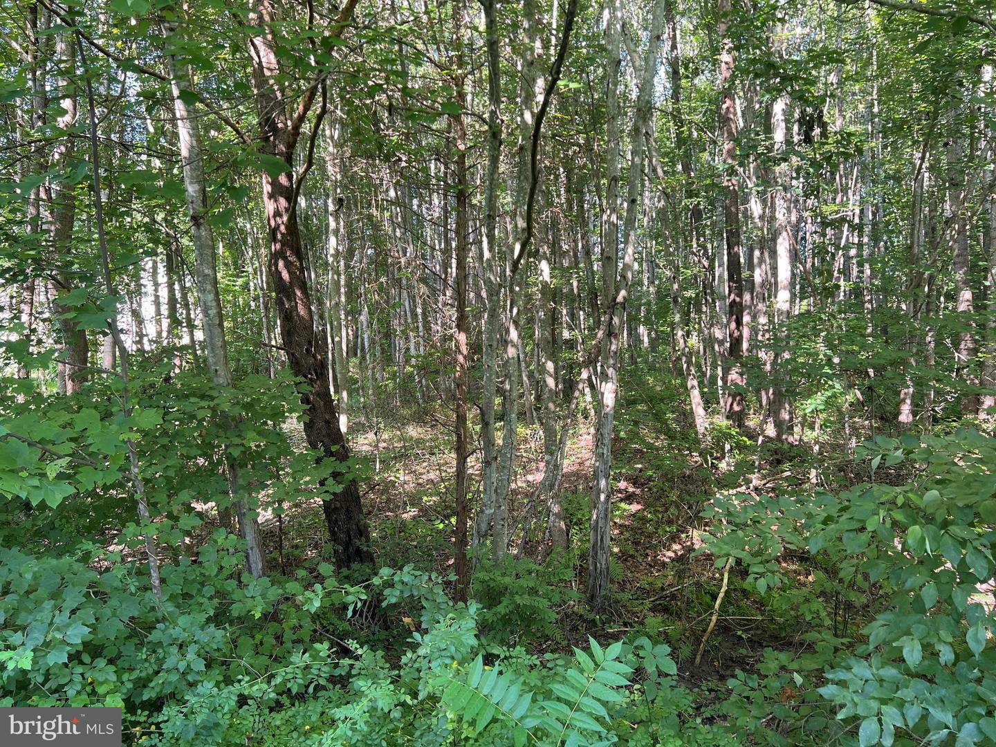 OVERTON DR, BUMPASS, Virginia 23024, ,Land,For sale,OVERTON DR,VALA2008394 MLS # VALA2008394