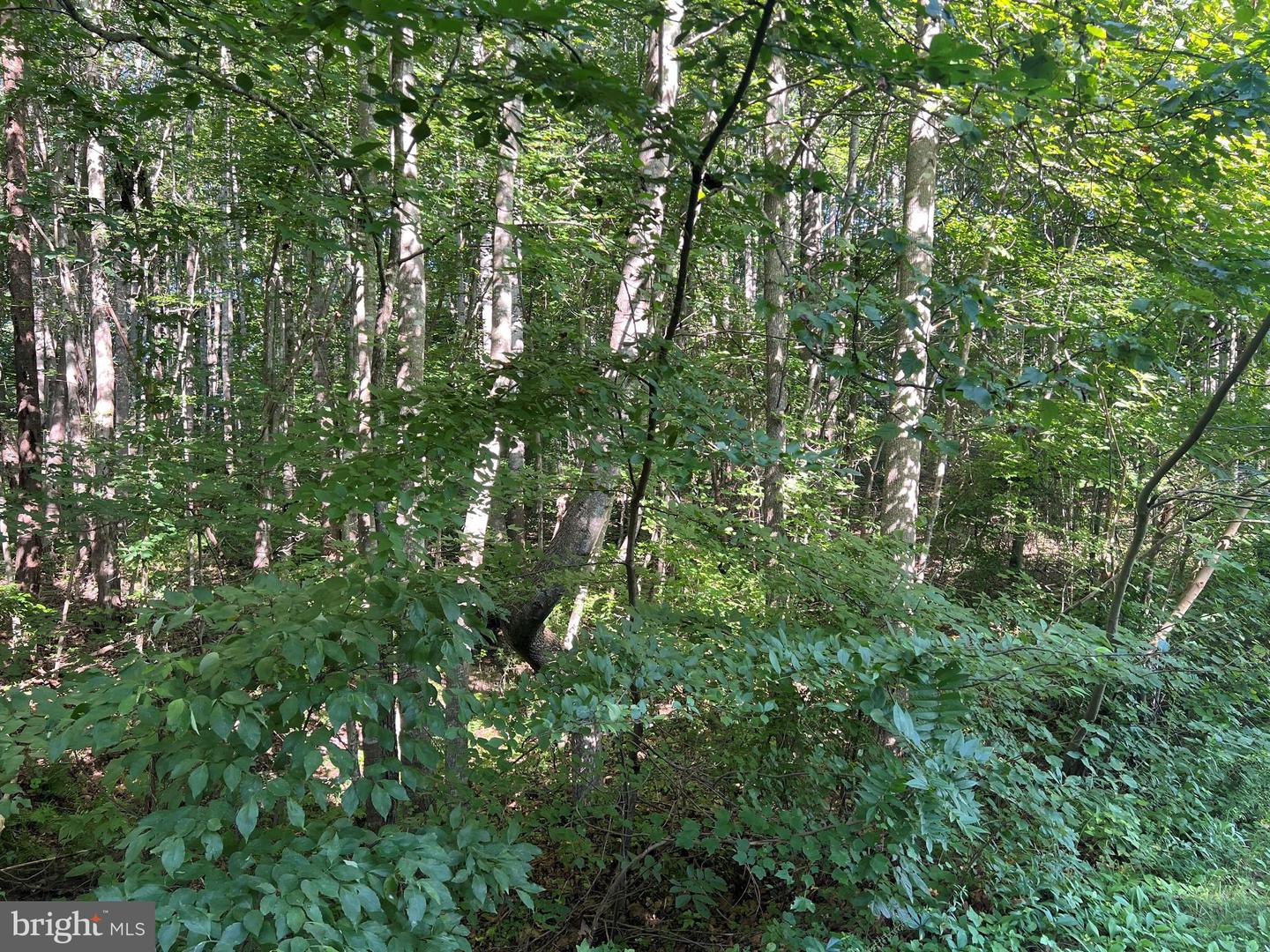 OVERTON DR, BUMPASS, Virginia 23024, ,Land,For sale,OVERTON DR,VALA2008394 MLS # VALA2008394