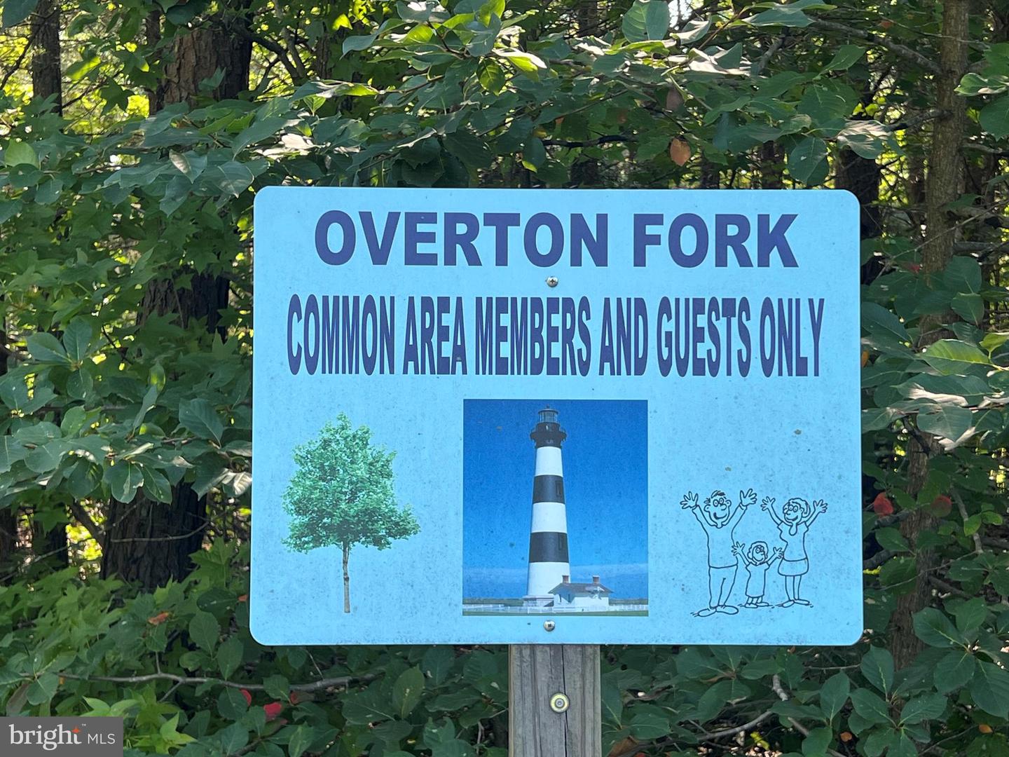 OVERTON DR, BUMPASS, Virginia 23024, ,Land,For sale,OVERTON DR,VALA2008394 MLS # VALA2008394