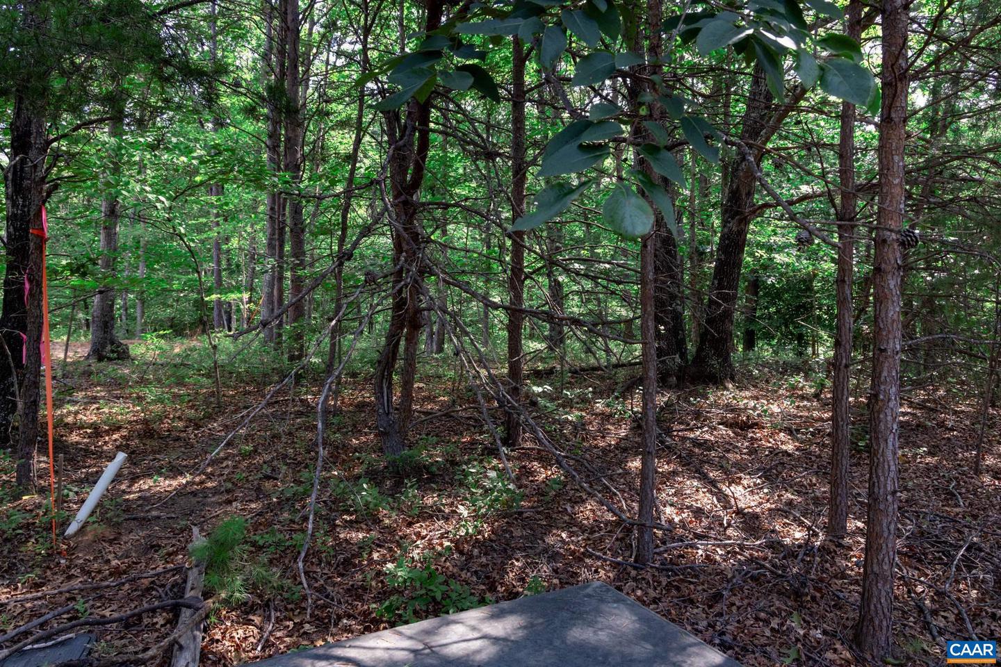 99 OAKMONT DR #99, GORDONSVILLE, Virginia 22942, ,Land,For sale,99 OAKMONT DR #99,667712 MLS # 667712