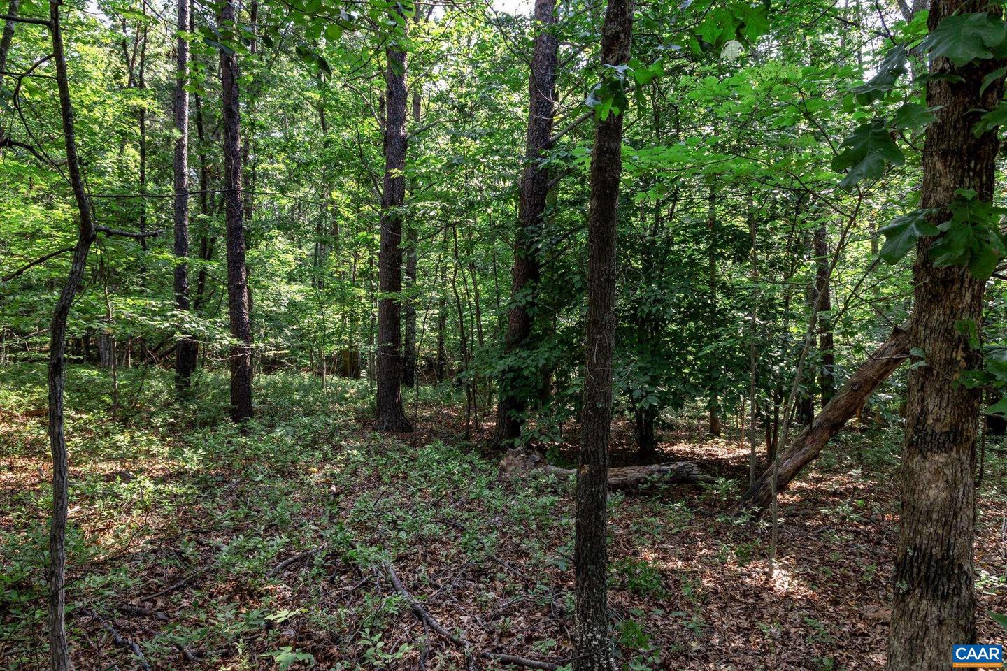 99 OAKMONT DR #99, GORDONSVILLE, Virginia 22942, ,Land,For sale,99 OAKMONT DR #99,667712 MLS # 667712