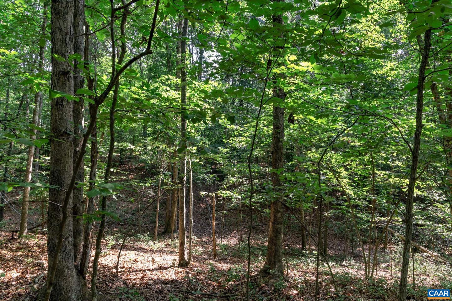 99 OAKMONT DR #99, GORDONSVILLE, Virginia 22942, ,Land,For sale,99 OAKMONT DR #99,667712 MLS # 667712