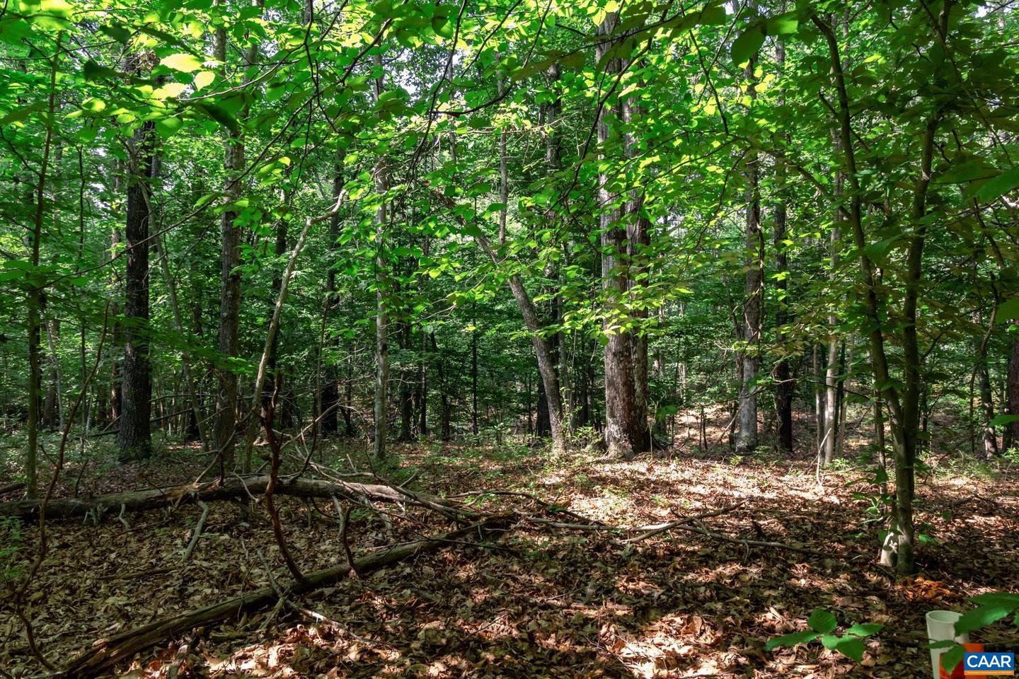 99 OAKMONT DR #99, GORDONSVILLE, Virginia 22942, ,Land,For sale,99 OAKMONT DR #99,667712 MLS # 667712