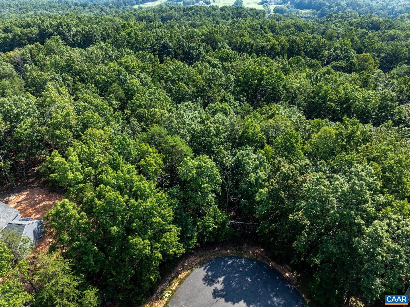 99 OAKMONT DR #99, GORDONSVILLE, Virginia 22942, ,Land,For sale,99 OAKMONT DR #99,667712 MLS # 667712