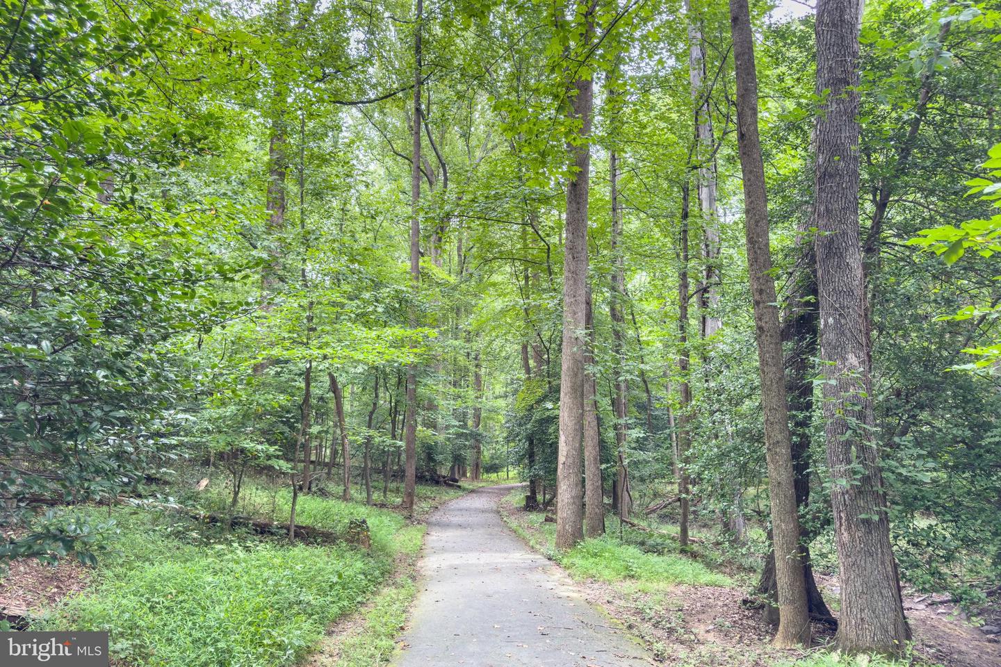 11710 DECADE CT, RESTON, Virginia 20191, 4 Bedrooms Bedrooms, ,3 BathroomsBathrooms,Residential,For sale,11710 DECADE CT,VAFX2259626 MLS # VAFX2259626