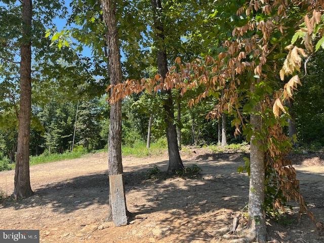 34 TIMBER RIDGE TRAIL, CULPEPER, Virginia 22701, 3 Bedrooms Bedrooms, ,2 BathroomsBathrooms,Residential,For sale,34 TIMBER RIDGE TRAIL,VACU2011242 MLS # VACU2011242