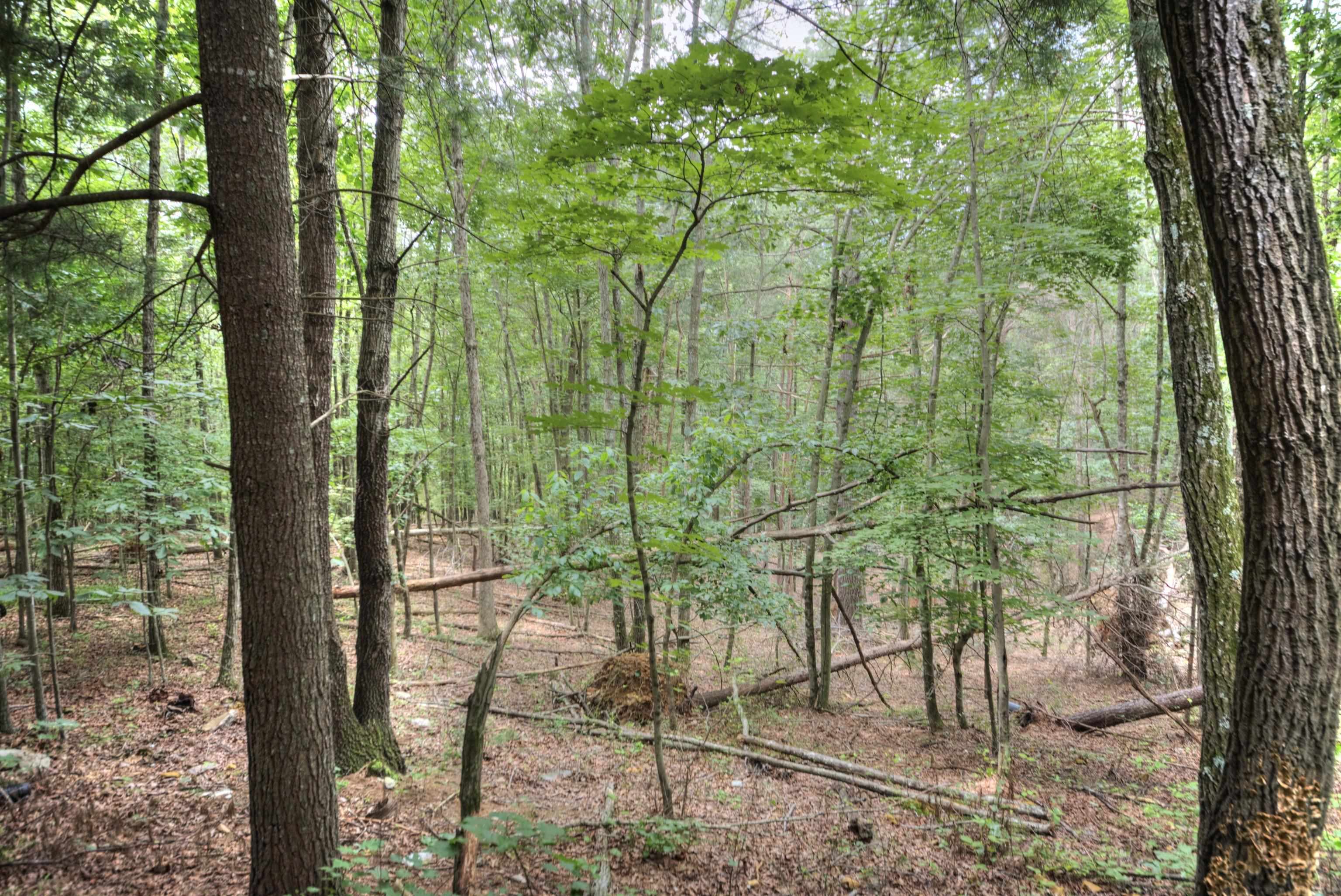12101 SQUIRREL DR, FULKS RUN, Virginia 22830, 3 Bedrooms Bedrooms, ,2 BathroomsBathrooms,Residential,12101 SQUIRREL DR,667704 MLS # 667704