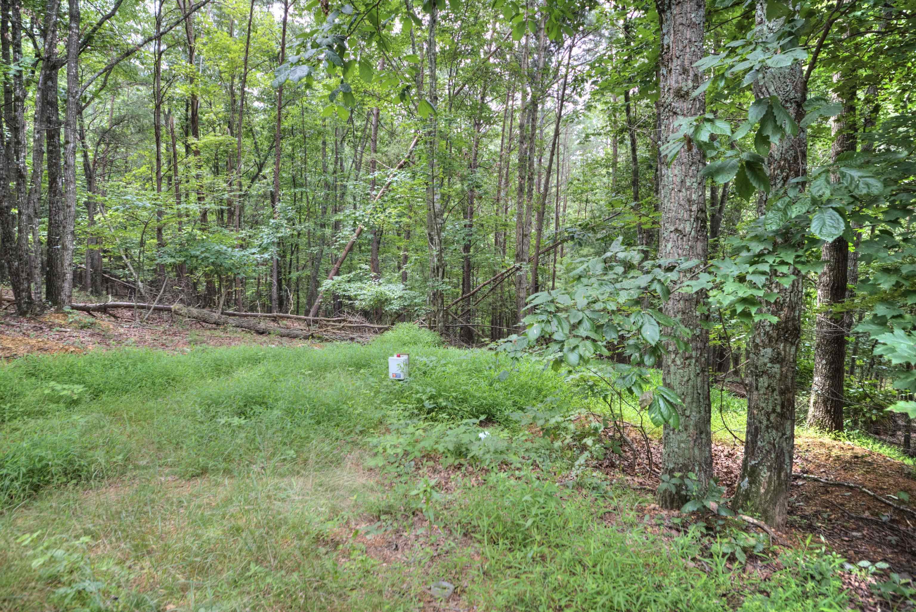 12101 SQUIRREL DR, FULKS RUN, Virginia 22830, 3 Bedrooms Bedrooms, ,2 BathroomsBathrooms,Residential,12101 SQUIRREL DR,667704 MLS # 667704