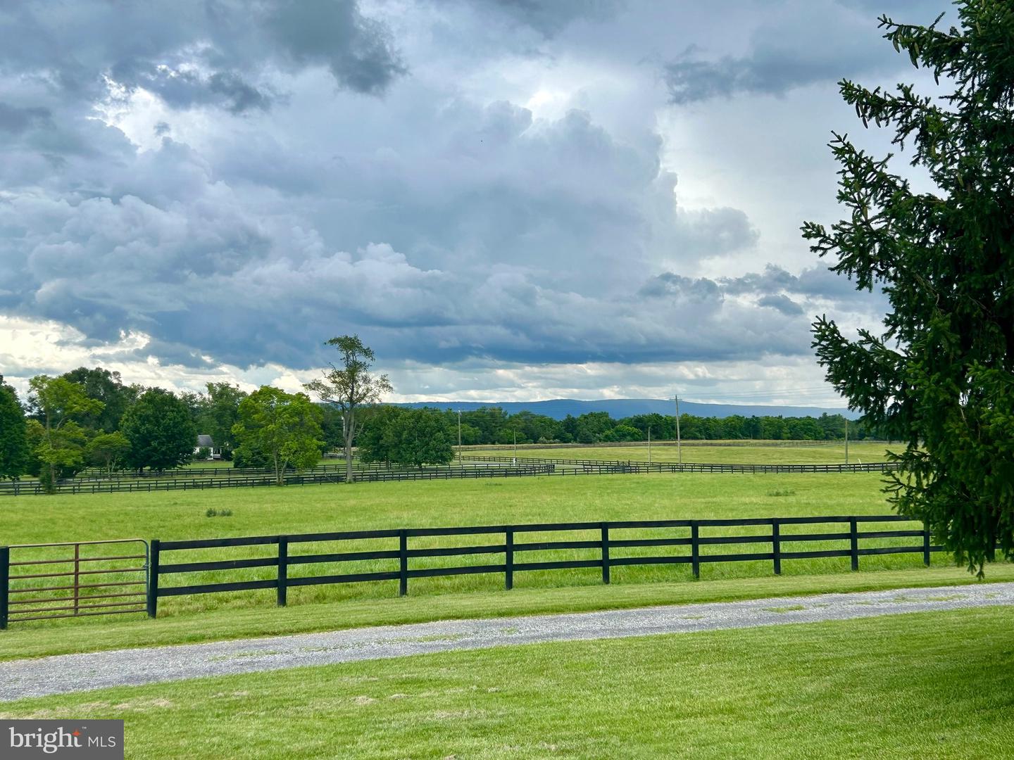 64 SALEM CHURCH RD, BOYCE, Virginia 22620, 4 Bedrooms Bedrooms, ,1 BathroomBathrooms,Residential,For sale,64 SALEM CHURCH RD,VACL2003834 MLS # VACL2003834