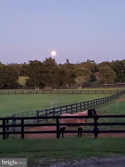 64 SALEM CHURCH RD, BOYCE, Virginia 22620, 4 Bedrooms Bedrooms, ,1 BathroomBathrooms,Residential,For sale,64 SALEM CHURCH RD,VACL2003834 MLS # VACL2003834 64 SALEM CHURCH RD, BOYCE, Virginia 22620, 4 Bedrooms Bedrooms, ,1 BathroomBathrooms,Residential,For sale,64 SALEM CHURCH RD,VACL2003834 MLS # VACL2003834