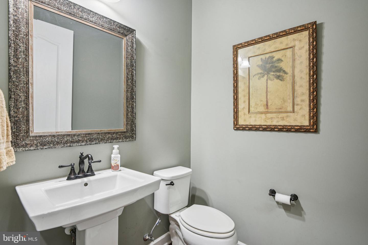 25842 YELLOW BIRCH CT, ALDIE, Virginia 20105, 6 Bedrooms Bedrooms, ,6 BathroomsBathrooms,Residential,For sale,25842 YELLOW BIRCH CT,VALO2103820 MLS # VALO2103820