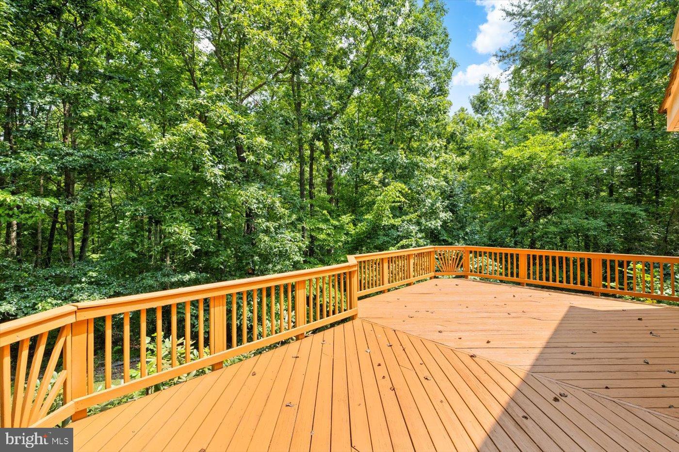 4301 MURVEN PARK LN, FREDERICKSBURG, Virginia 22408, ,Residential,For sale,4301 MURVEN PARK LN,VASP2035278 MLS # VASP2035278