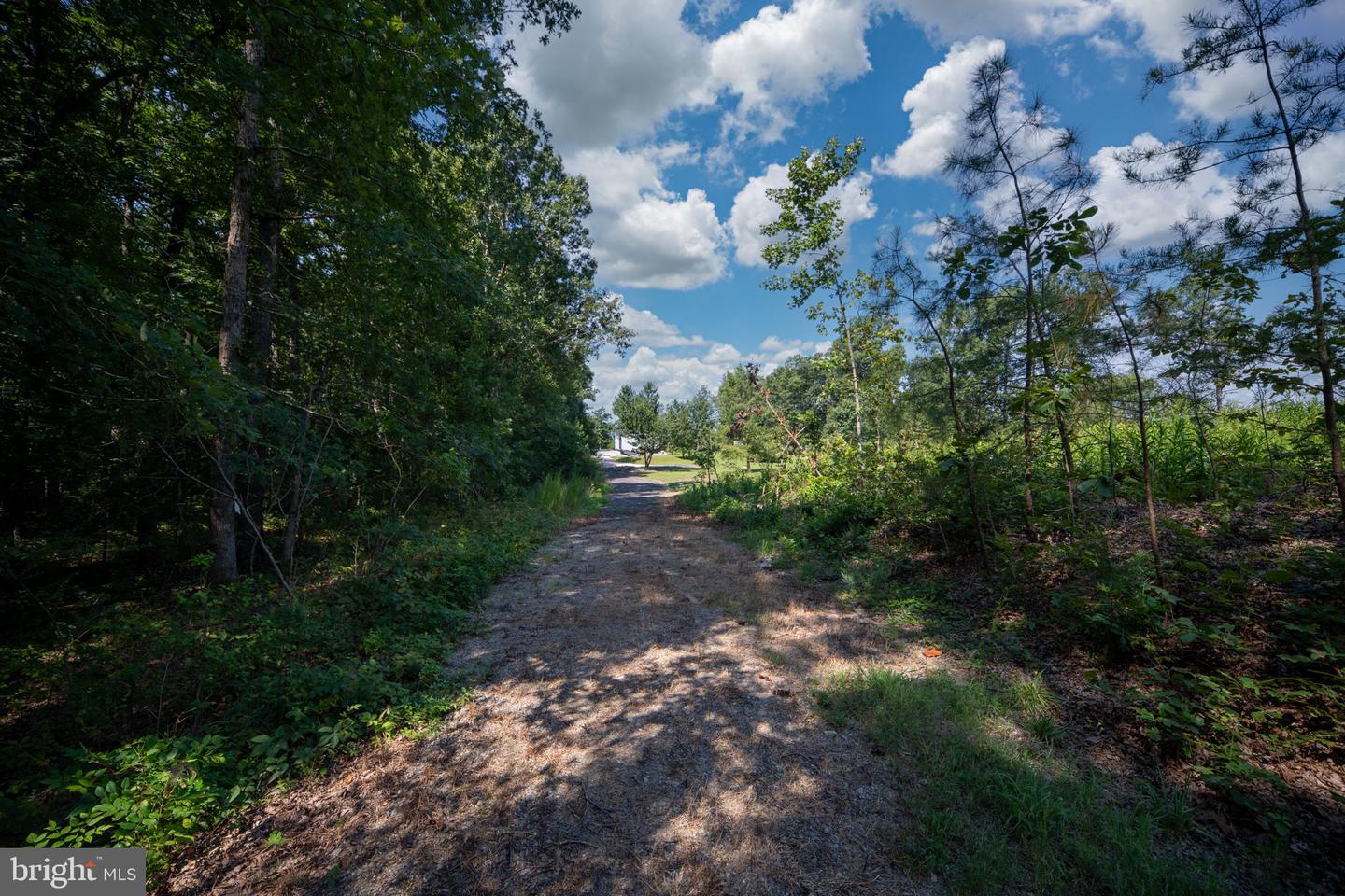 28053 SIGNBOARD RD, RUTHER GLEN, Virginia 22546, 3 Bedrooms Bedrooms, ,2 BathroomsBathrooms,Residential,For sale,28053 SIGNBOARD RD,VACV2008634 MLS # VACV2008634