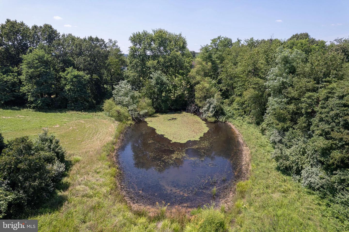 321 CEDAR GROVE RD, WINCHESTER, Virginia 22603, 3 Bedrooms Bedrooms, ,2 BathroomsBathrooms,Residential,For sale,321 CEDAR GROVE RD,VAFV2035942 MLS # VAFV2035942
