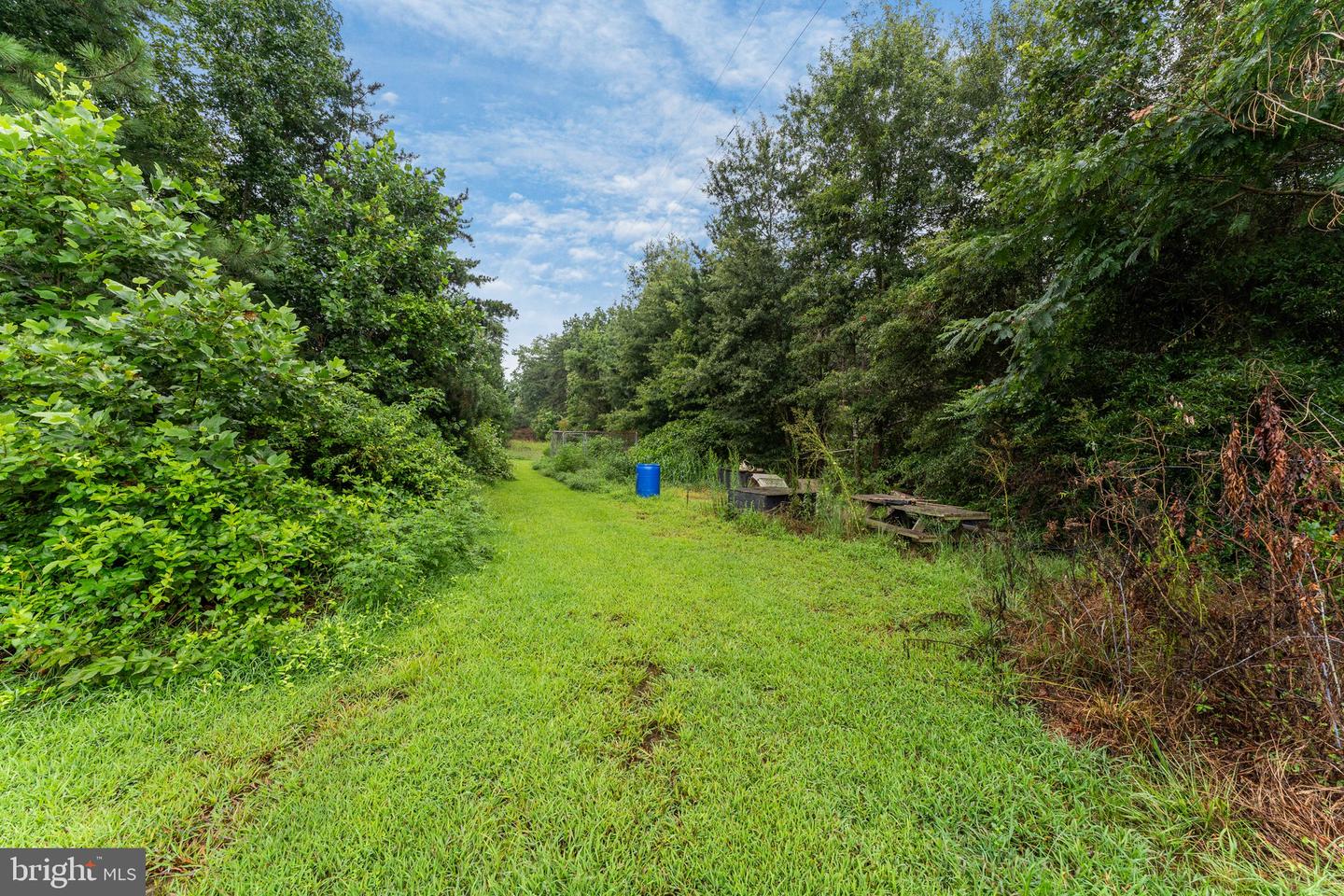 2105 MOUNT OLIVE RD, BEAVERDAM, Virginia 23015, 3 Bedrooms Bedrooms, ,2 BathroomsBathrooms,Residential,For sale,2105 MOUNT OLIVE RD,VASP2035400 MLS # VASP2035400
