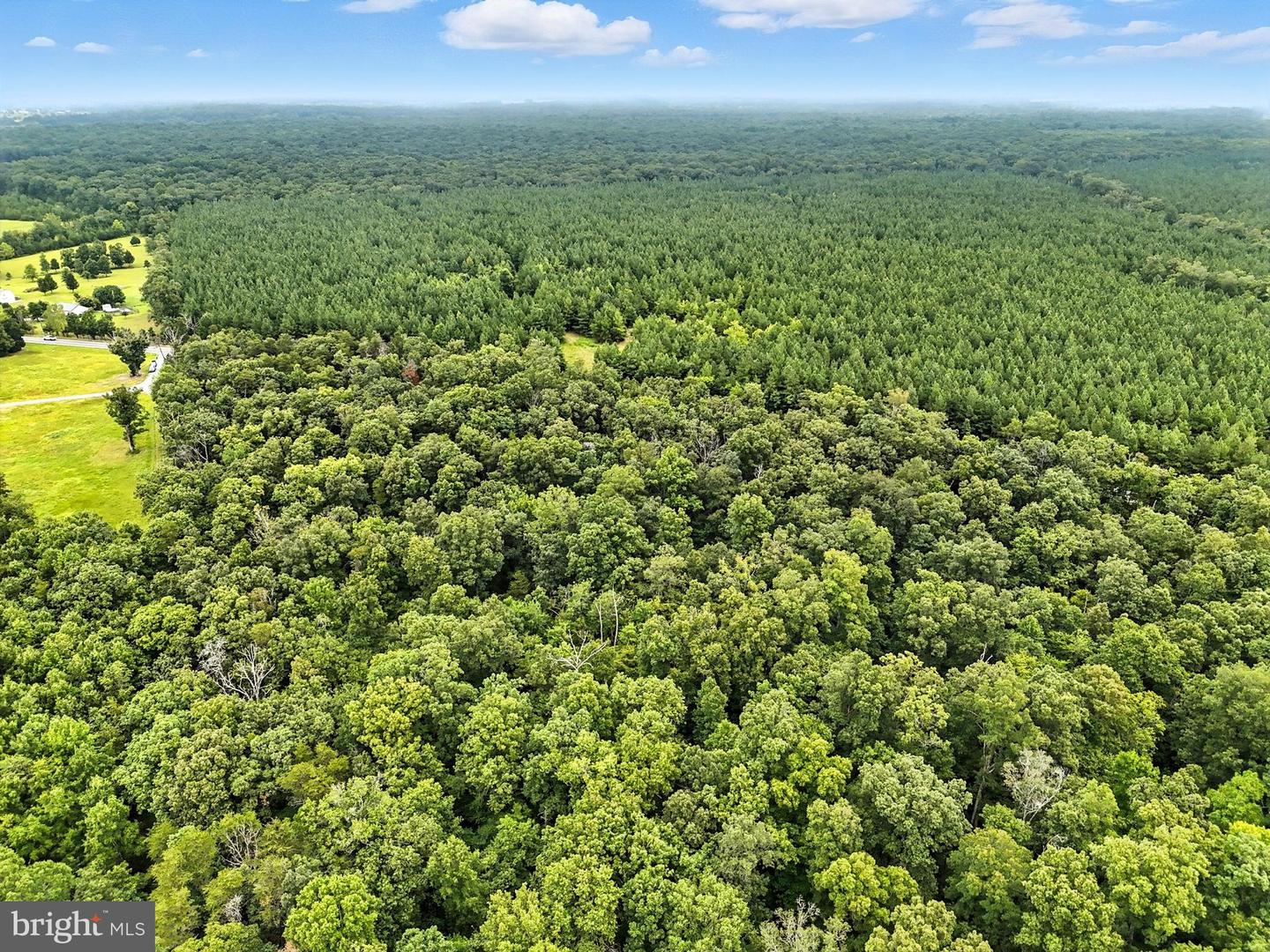 ZACHARY TAYLOR, CULPEPER, Virginia 22701, ,Land,For sale,ZACHARY TAYLOR,VACU2011240 MLS # VACU2011240