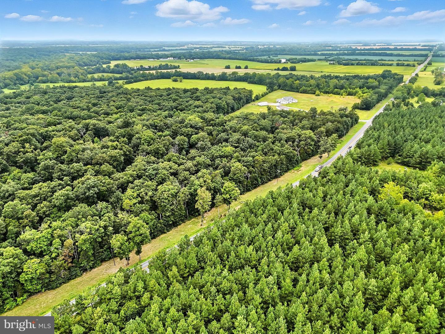 ZACHARY TAYLOR, CULPEPER, Virginia 22701, ,Land,For sale,ZACHARY TAYLOR,VACU2011240 MLS # VACU2011240
