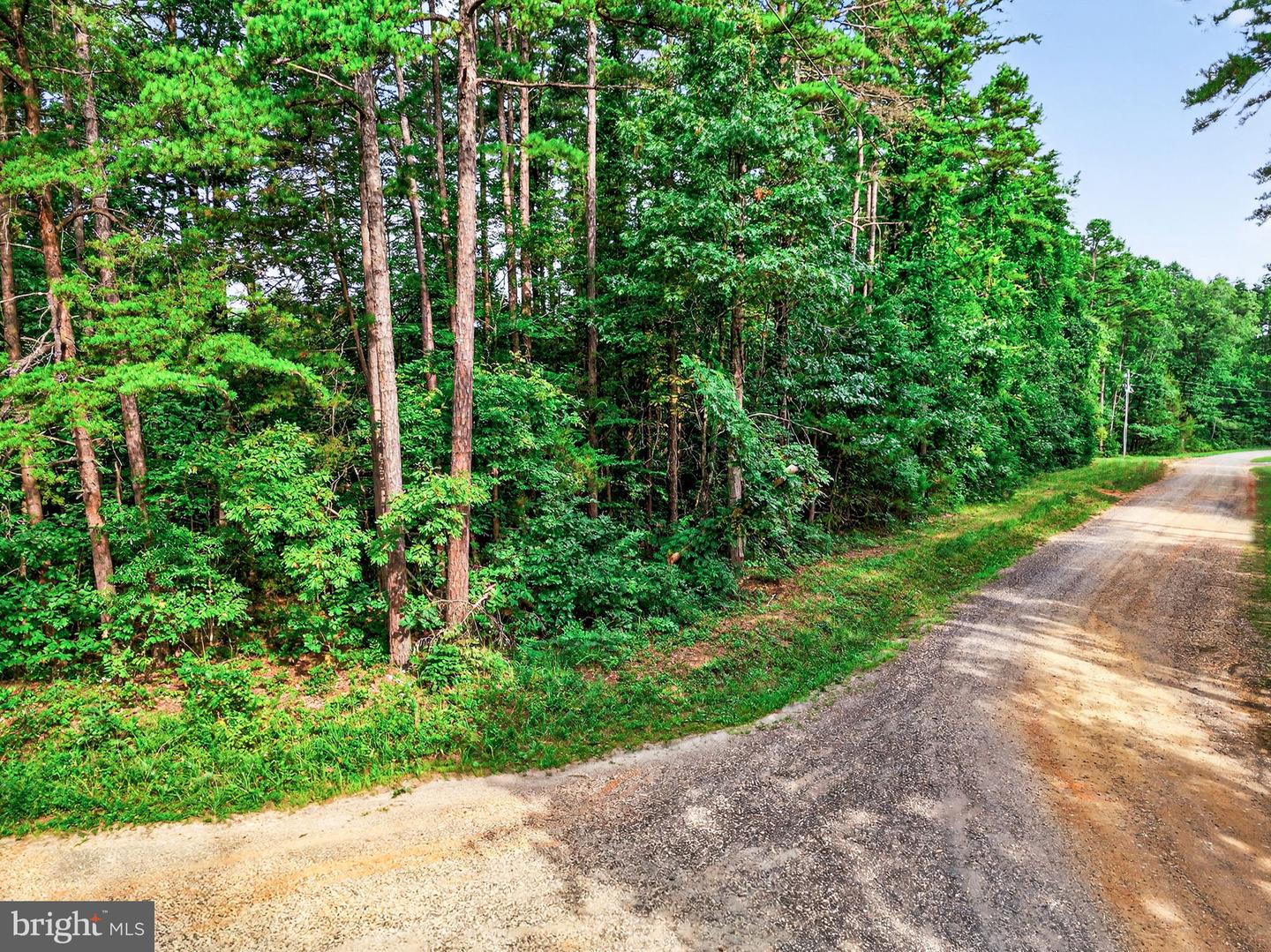 4280 LEES CT, LOCUST GROVE, Virginia 22508, ,Land,For sale,4280 LEES CT,VAOR2010442 MLS # VAOR2010442