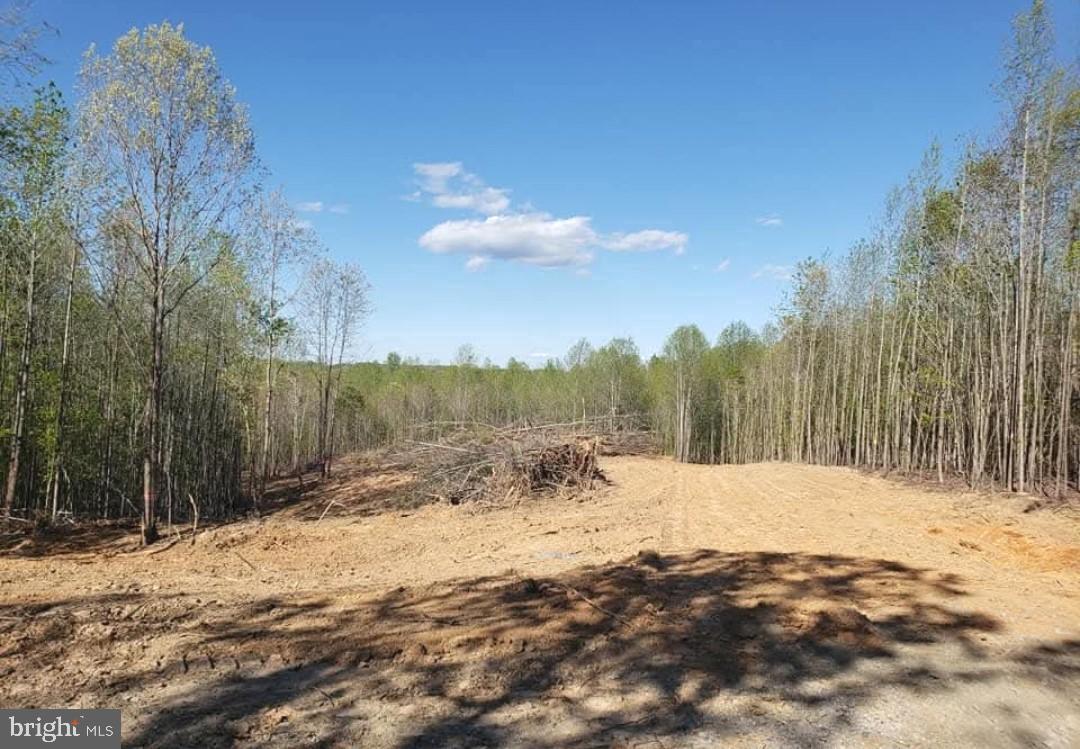 LOT 9 MOUNTAIN CREEK LAKE SUBDIVISION, GREEN BAY, Virginia 23942, ,Land,For sale,LOT 9 MOUNTAIN CREEK LAKE SUBDIVISION,VAPE2000104 MLS # VAPE2000104