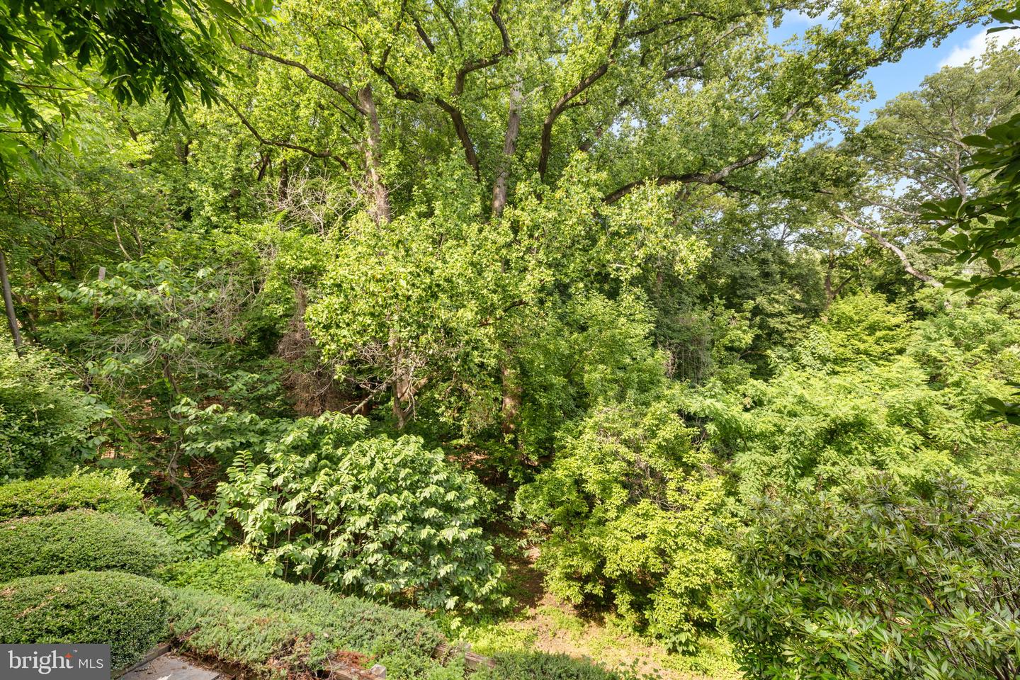 1727 HOBAN RD NW, WASHINGTON, District Of Columbia 20007, 3 Bedrooms Bedrooms, ,4 BathroomsBathrooms,Residential,For sale,1727 HOBAN RD NW,DCDC2197848 MLS # DCDC2197848
