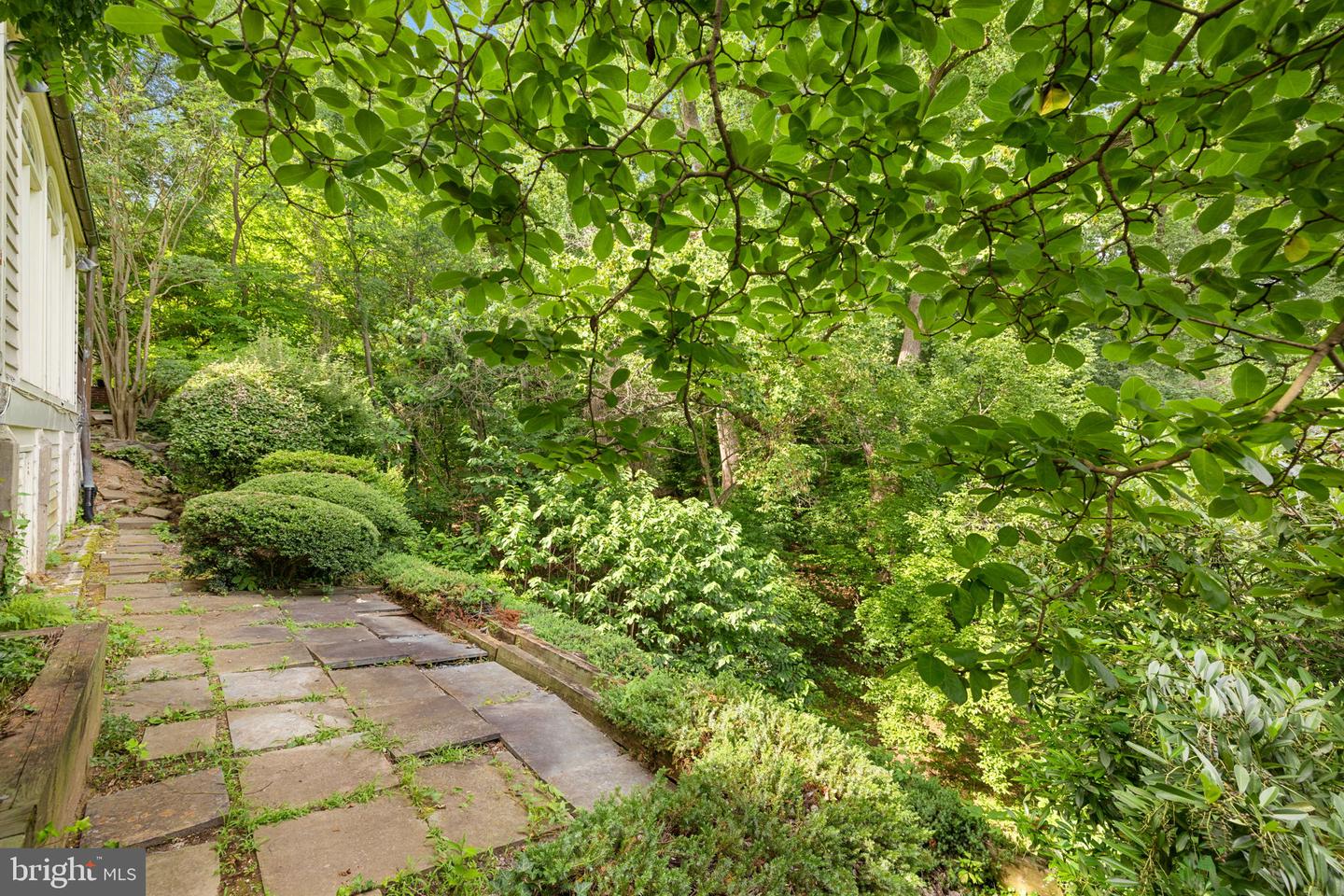 1727 HOBAN RD NW, WASHINGTON, District Of Columbia 20007, 3 Bedrooms Bedrooms, ,4 BathroomsBathrooms,Residential,For sale,1727 HOBAN RD NW,DCDC2197848 MLS # DCDC2197848