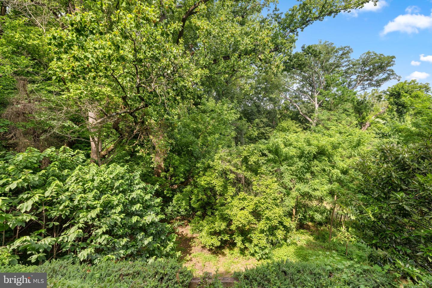 1727 HOBAN RD NW, WASHINGTON, District Of Columbia 20007, 3 Bedrooms Bedrooms, ,4 BathroomsBathrooms,Residential,For sale,1727 HOBAN RD NW,DCDC2197848 MLS # DCDC2197848