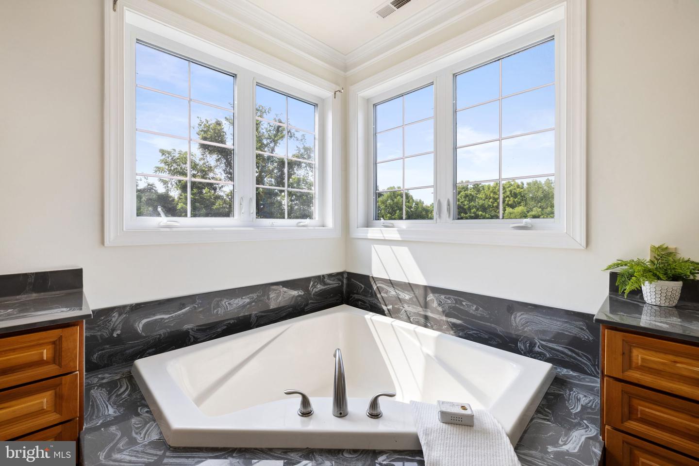 39260 CHARLES TOWN PIKE, HAMILTON, Virginia 20158, 4 Bedrooms Bedrooms, ,6 BathroomsBathrooms,Residential,For sale,39260 CHARLES TOWN PIKE,VALO2101002 MLS # VALO2101002