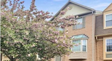 7806 SOLOMON SEAL DR, SPRINGFIELD, Virginia 22152, 3 Bedrooms Bedrooms, 3 Rooms Rooms,2 BathroomsBathrooms,Residential,For sale,7806 SOLOMON SEAL DR,VAFX2256198 MLS # VAFX2256198