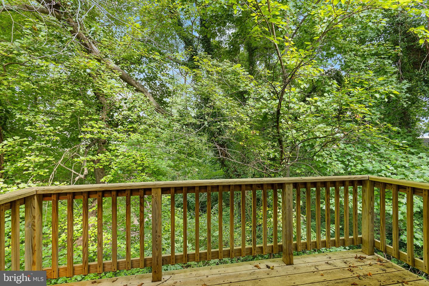 3012 CASTLE RD, FALLS CHURCH, Virginia 22044, 6 Bedrooms Bedrooms, 10 Rooms Rooms,4 BathroomsBathrooms,Residential,For sale,3012 CASTLE RD,VAFX2259306 MLS # VAFX2259306