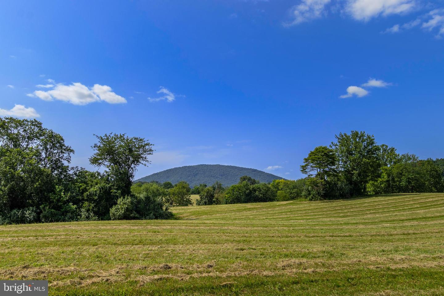 CLARENDON FARM DR, MARSHALL, Virginia 20115, ,Land,For sale,CLARENDON FARM DR,VAFQ2017880 MLS # VAFQ2017880
