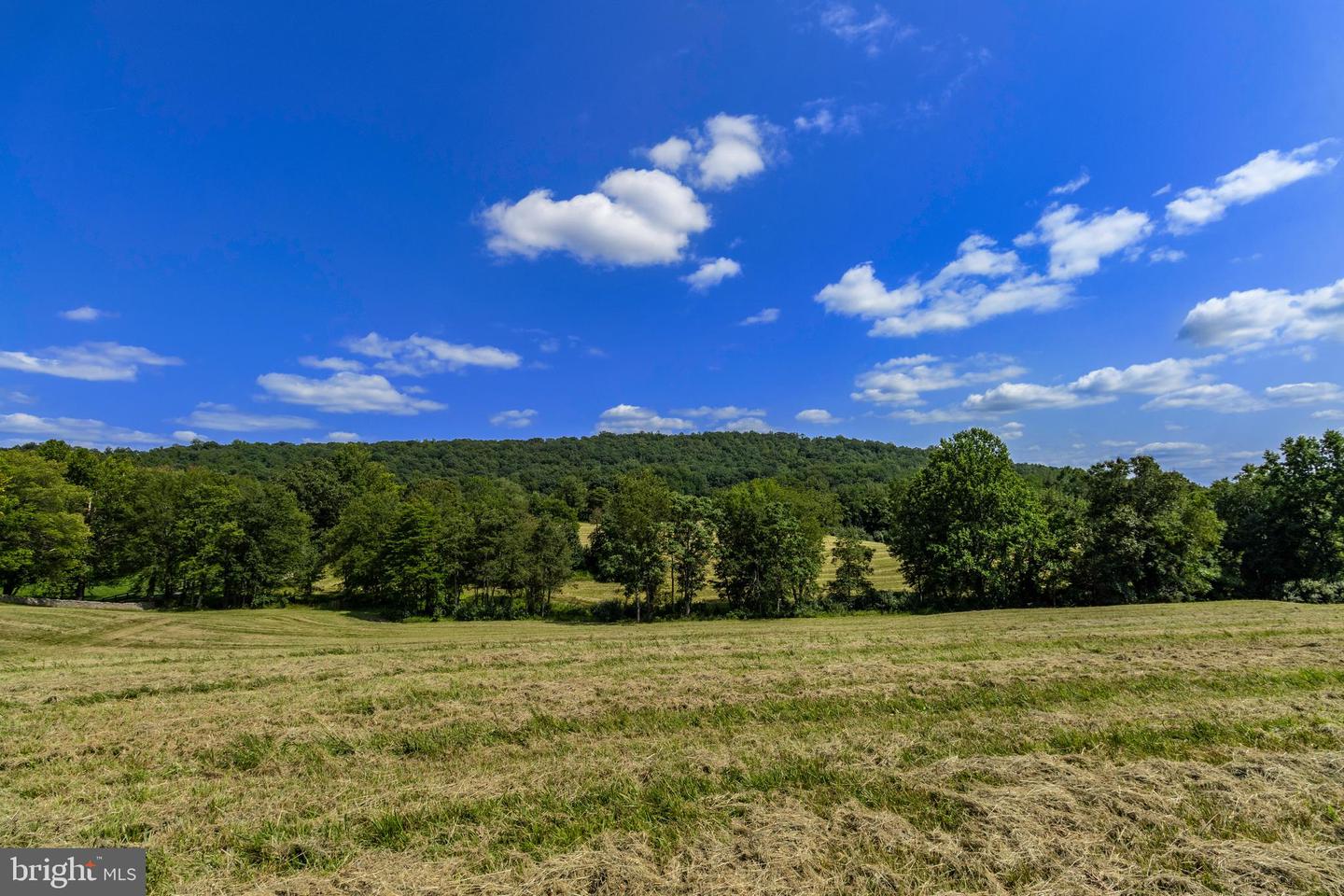 CLARENDON FARM DR, MARSHALL, Virginia 20115, ,Land,For sale,CLARENDON FARM DR,VAFQ2017880 MLS # VAFQ2017880