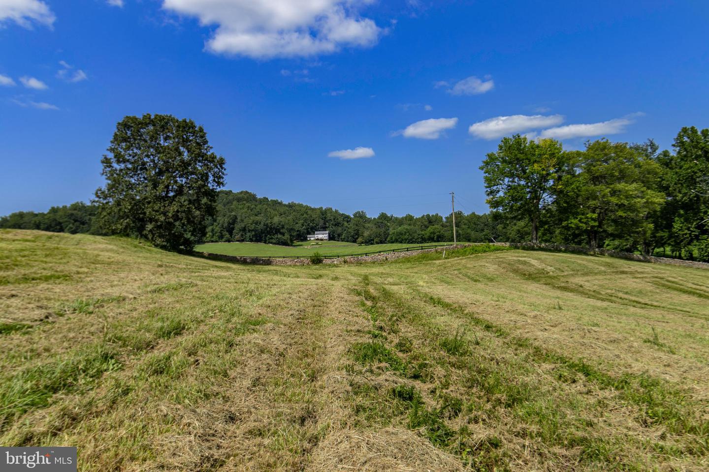CLARENDON FARM DR, MARSHALL, Virginia 20115, ,Land,For sale,CLARENDON FARM DR,VAFQ2017880 MLS # VAFQ2017880