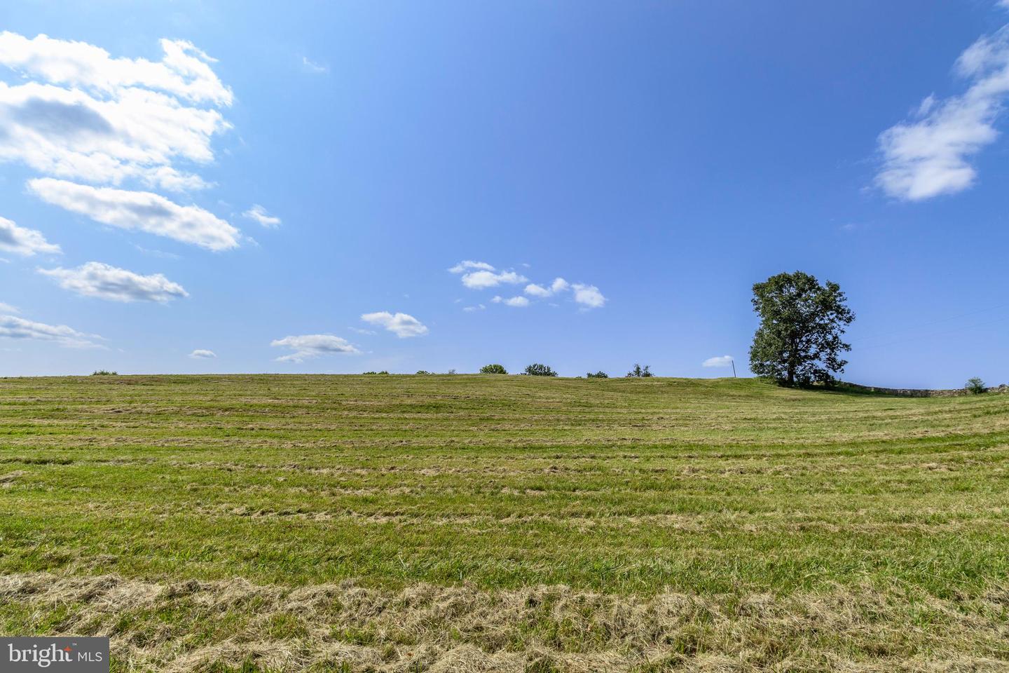 CLARENDON FARM DR, MARSHALL, Virginia 20115, ,Land,For sale,CLARENDON FARM DR,VAFQ2017880 MLS # VAFQ2017880