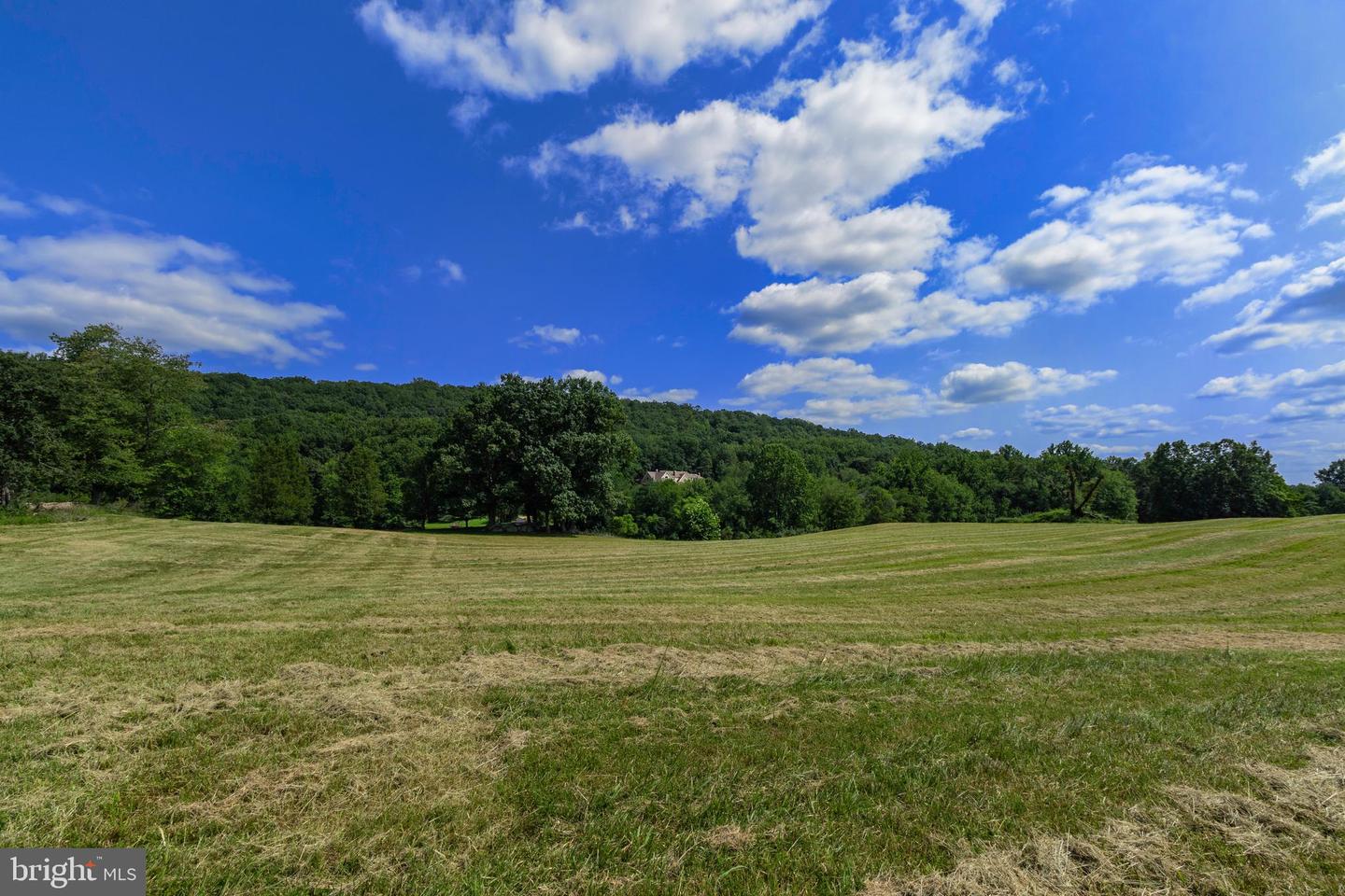 CLARENDON FARM DR, MARSHALL, Virginia 20115, ,Land,For sale,CLARENDON FARM DR,VAFQ2017880 MLS # VAFQ2017880