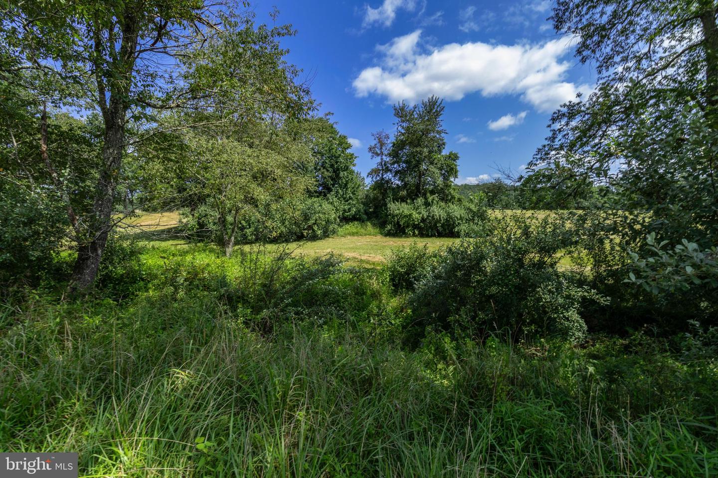 CLARENDON FARM DR, MARSHALL, Virginia 20115, ,Land,For sale,CLARENDON FARM DR,VAFQ2017880 MLS # VAFQ2017880