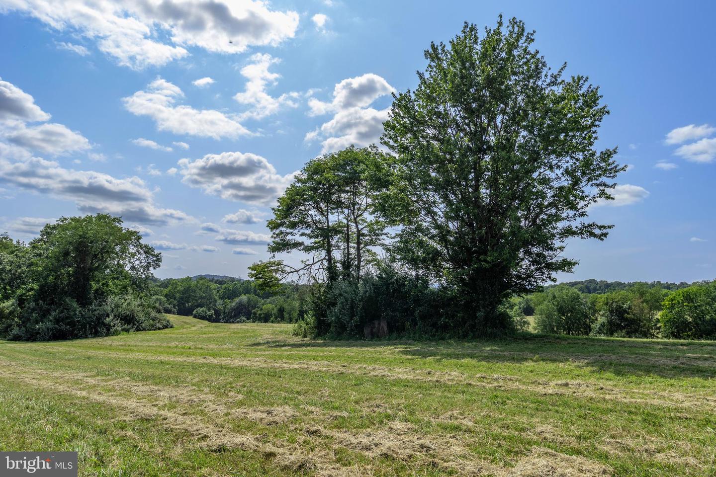 CLARENDON FARM DR, MARSHALL, Virginia 20115, ,Land,For sale,CLARENDON FARM DR,VAFQ2017880 MLS # VAFQ2017880