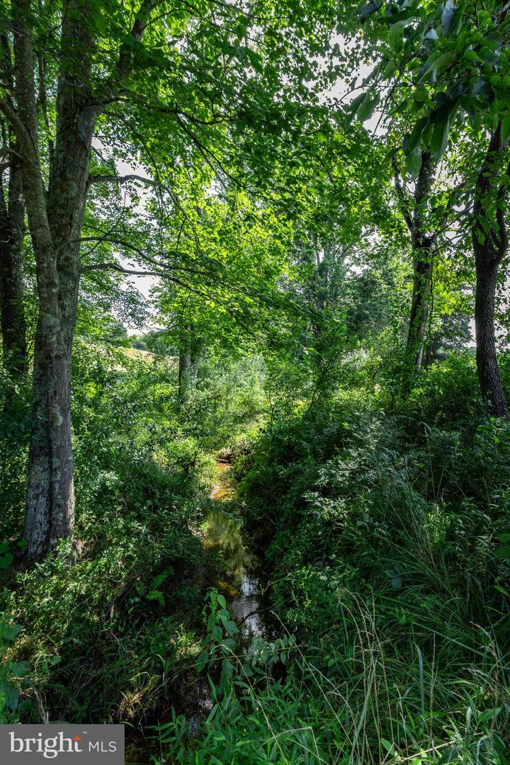 CLARENDON FARM DR, MARSHALL, Virginia 20115, ,Land,For sale,CLARENDON FARM DR,VAFQ2017880 MLS # VAFQ2017880
