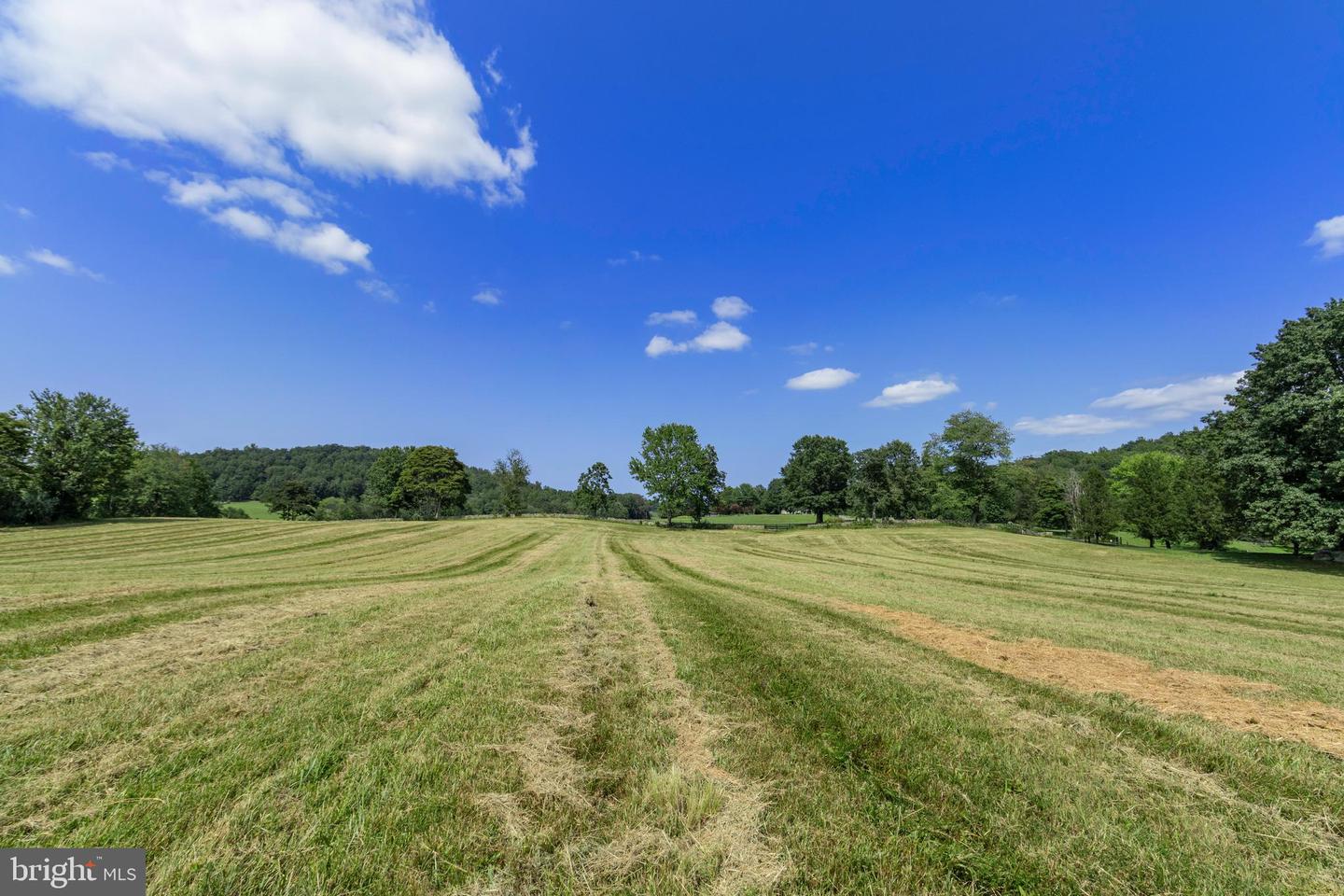 CLARENDON FARM DR, MARSHALL, Virginia 20115, ,Land,For sale,CLARENDON FARM DR,VAFQ2017880 MLS # VAFQ2017880