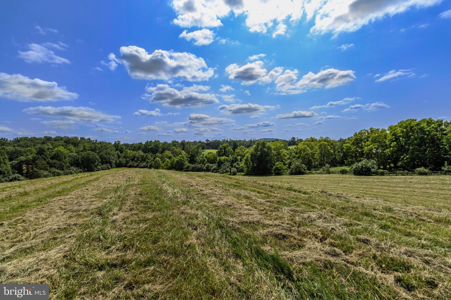 CLARENDON FARM DR, MARSHALL, Virginia 20115, ,Land,For sale,CLARENDON FARM DR,VAFQ2017880 MLS # VAFQ2017880