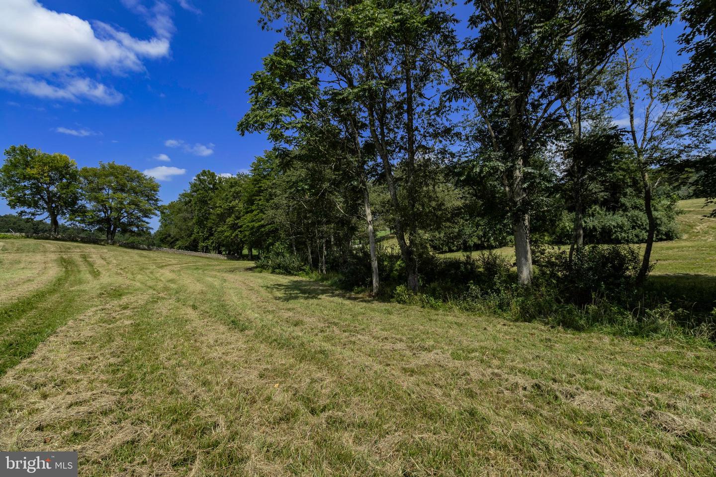 CLARENDON FARM DR, MARSHALL, Virginia 20115, ,Land,For sale,CLARENDON FARM DR,VAFQ2017880 MLS # VAFQ2017880
