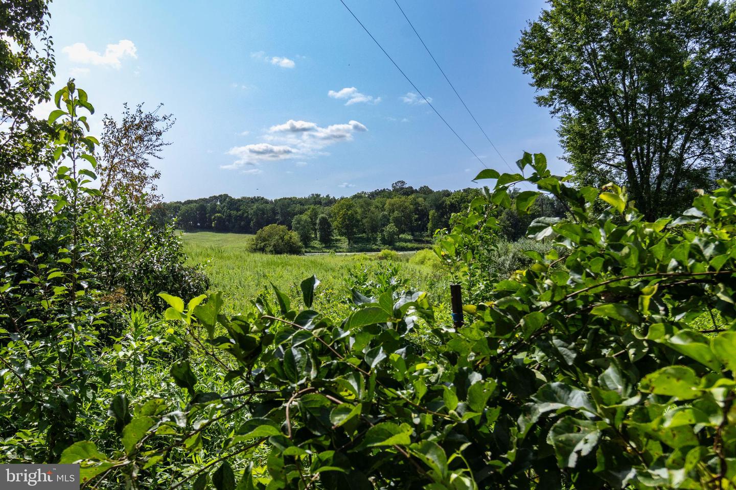 CLARENDON FARM DR, MARSHALL, Virginia 20115, ,Land,For sale,CLARENDON FARM DR,VAFQ2017880 MLS # VAFQ2017880