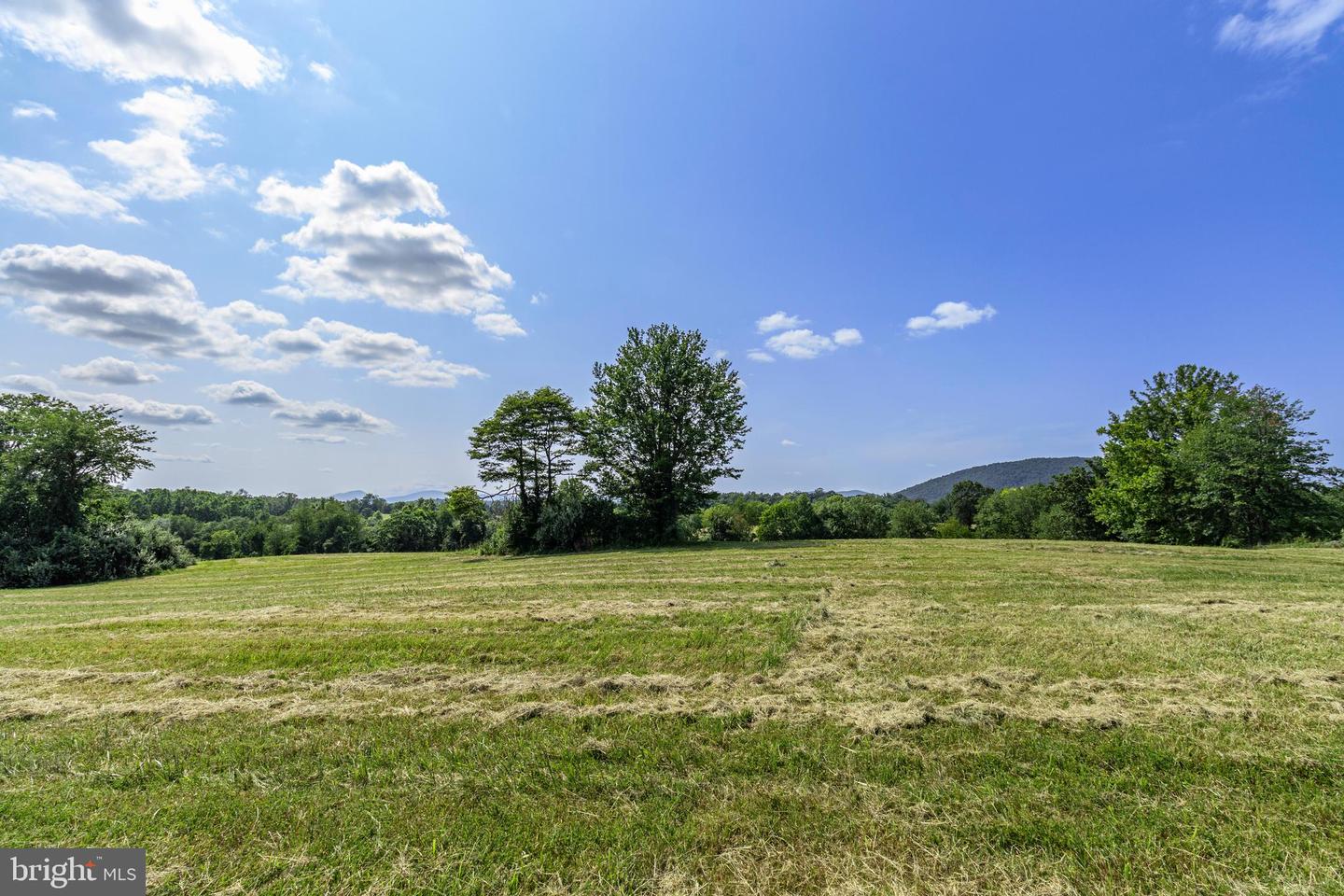 CLARENDON FARM DR, MARSHALL, Virginia 20115, ,Land,For sale,CLARENDON FARM DR,VAFQ2017880 MLS # VAFQ2017880