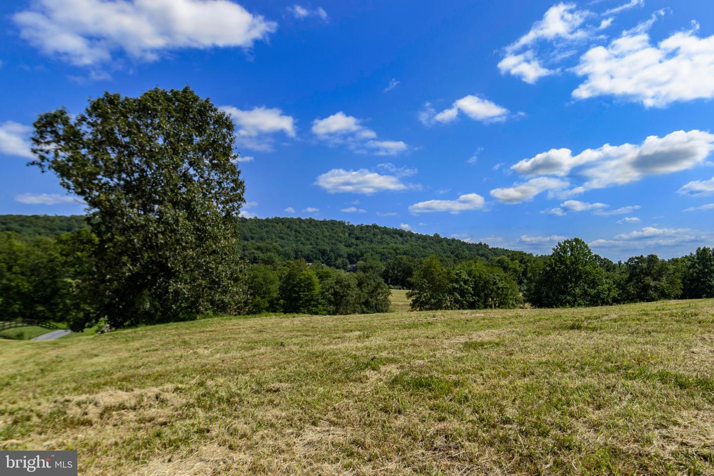 CLARENDON FARM DR, MARSHALL, Virginia 20115, ,Land,For sale,CLARENDON FARM DR,VAFQ2017880 MLS # VAFQ2017880