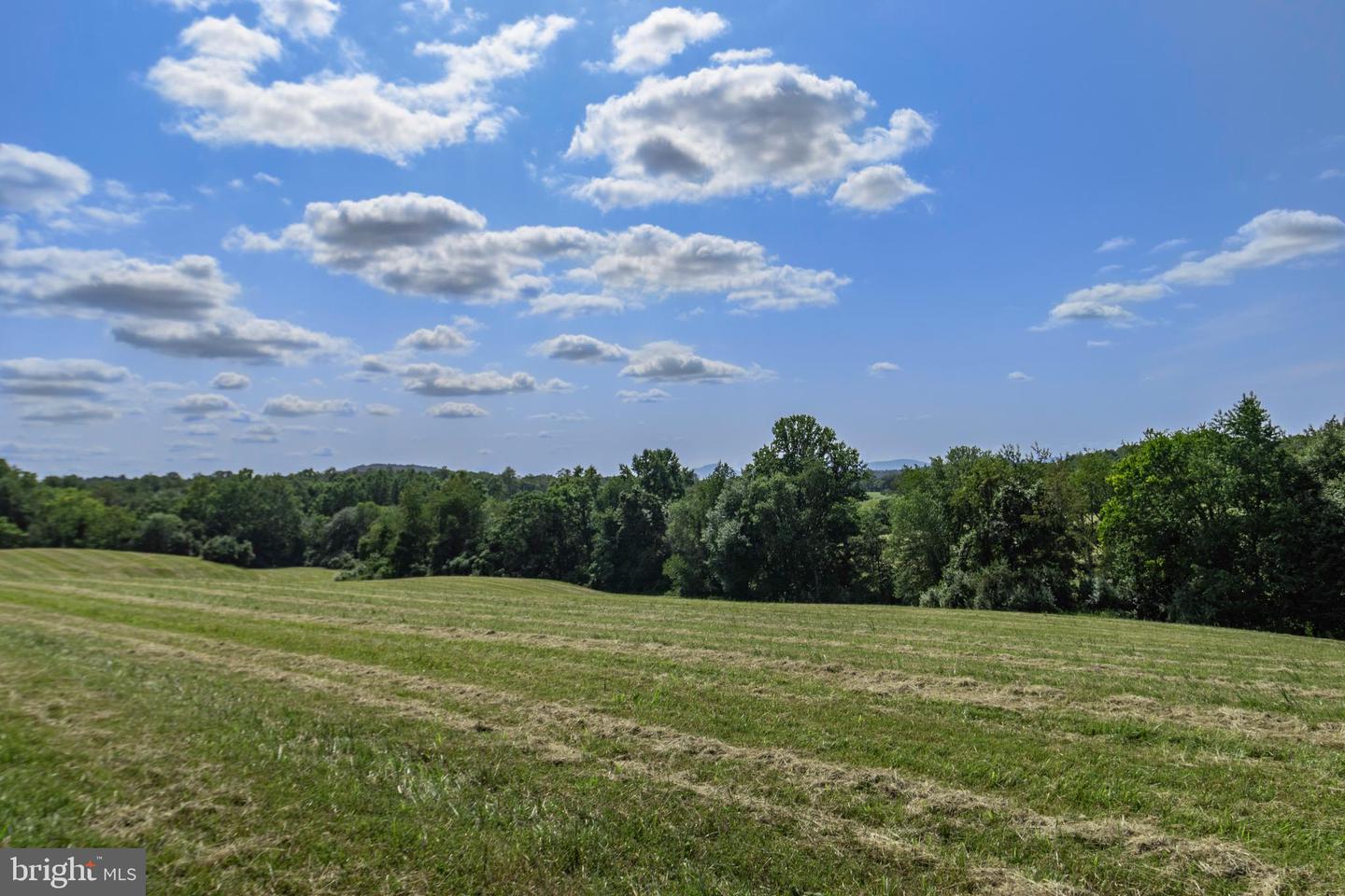 CLARENDON FARM DR, MARSHALL, Virginia 20115, ,Land,For sale,CLARENDON FARM DR,VAFQ2017880 MLS # VAFQ2017880