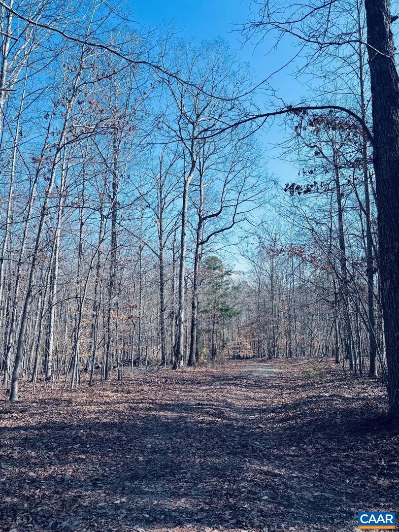 TBD RUNNING DEER DR #PARCEL A AS SHOWN ON, KESWICK, Virginia 22947, ,Land,For sale,TBD RUNNING DEER DR #PARCEL A AS SHOWN ON,667749 MLS # 667749